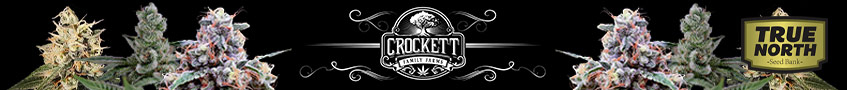 Crockett Family Farms