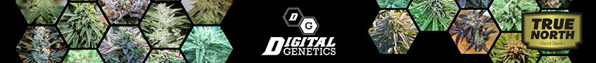 Digital Genetics