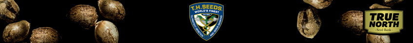 T.H. Seeds