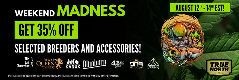 Weekend Madness - 35% OFF