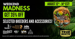 Weekend Madness - 35% OFF