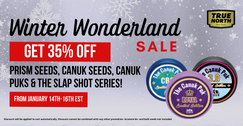 Winter Wonderland Sale - 35% OFF