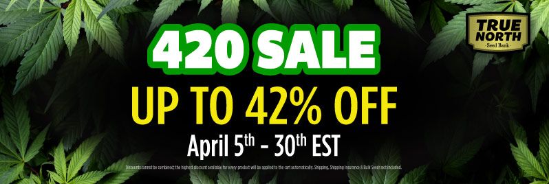 420 SALE - Up to 42% OFF