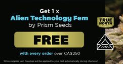 Prism Seeds Promotion