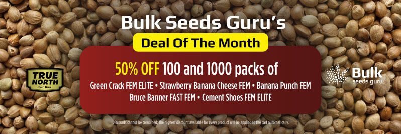 Bulk Seeds Guru's Deal of The Month