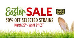 EASTER SALE - 30% OFF