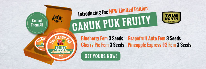 Limited Edition Canuk Puks