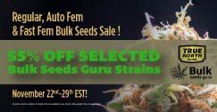 Bulk Seeds Guru Sale