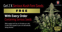 Serious Seeds Promotion