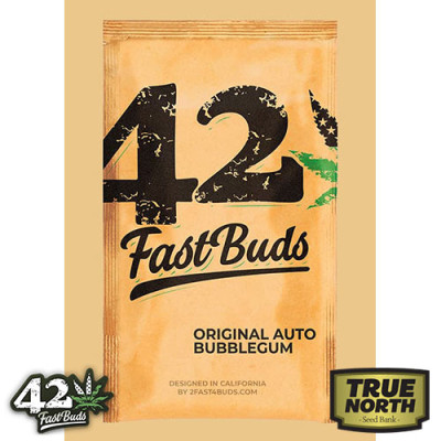 Original Auto BubbleGum Feminized Seeds (FastBuds)