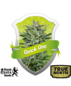 Quick One Automatic Feminized Seeds (Royal Queen Seeds) 