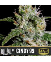 Cindy 99 Feminized Seeds (BlimBurn Seeds)