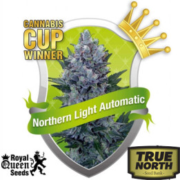 Northern Light Automatic Feminized Seeds (Royal Queen Seeds) - CLEARANCE