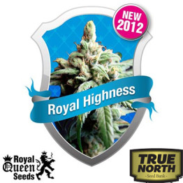 Royal Highness Feminized Seeds (Royal Queen Seeds)