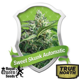 Sweet Skunk Automatic Feminized Seeds (Royal Queen Seeds)