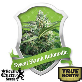 Sweet Skunk Automatic Feminized Seeds (Royal Queen Seeds) - CLEARANCE