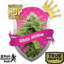 White Widow Automatic Feminized (Royal Queen Seeds) 
