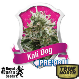 Kali Dog Feminized Seeds (Royal Queen Seeds)