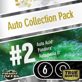 AUTO Collection pack #2 FEMINIZED Seeds (Paradise Seeds)