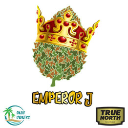 Auto Emperor J Feminized Seeds (Oasis Genetics)