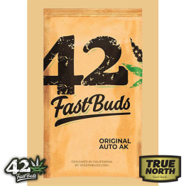 Original Auto AK Feminized Seeds (FastBuds) - CLEARANCE