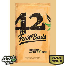 Original Auto OG Kush Feminized Seeds (FastBuds) - CLEARANCE