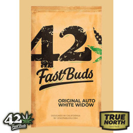Original Auto White Widow Feminized Seeds (FastBuds)