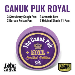 The Limited Edition Canuk Puk Royal