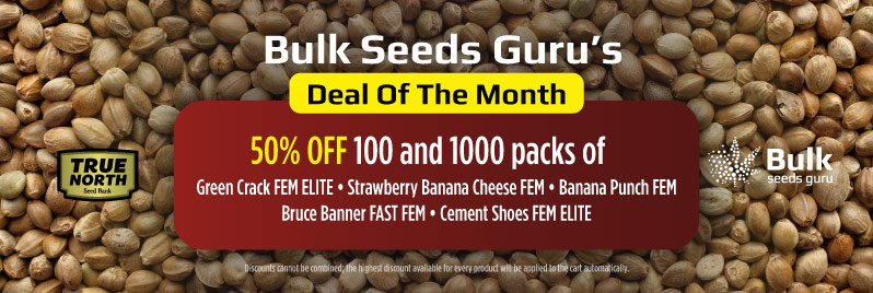 Seed sales sale shoes