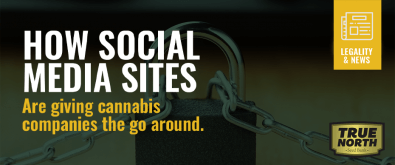 How Social Media Sites are Giving Cannabis Companies the Go Around