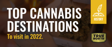 Top Cannabis Destinations to Visit in 2022