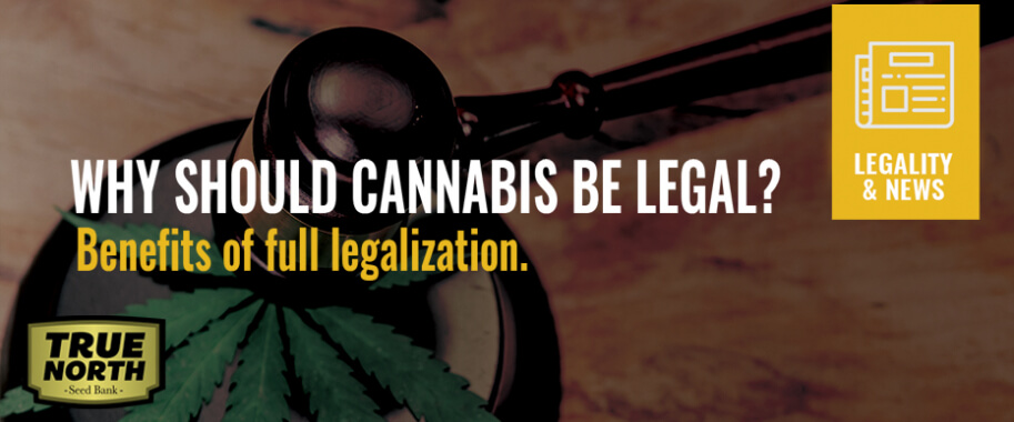 Why Should Cannabis Be Legal? Benefits of Full Legalization