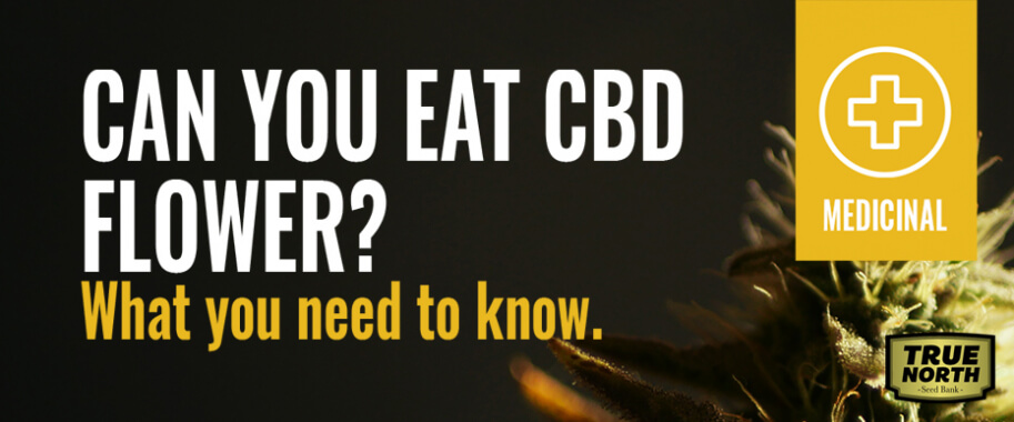 Can You Eat CBD Flower? What You Need To Know