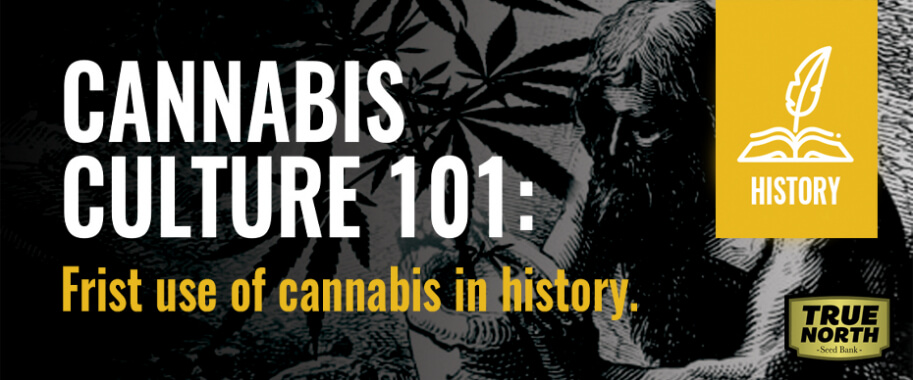 Cannabis Culture 101: First Use Of Cannabis In History