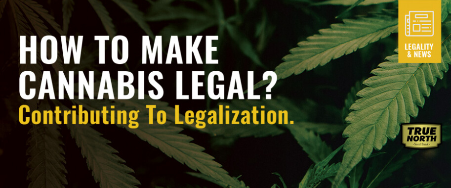 How To Make Cannabis Legal? Contributing To Legalization