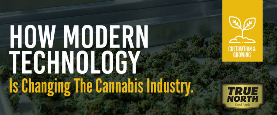 How Modern Technology Is Changing The Cannabis Industry?