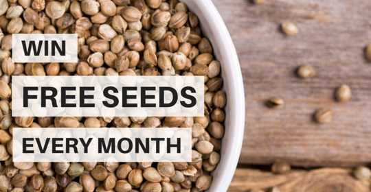 Win Free Seeds Every Month